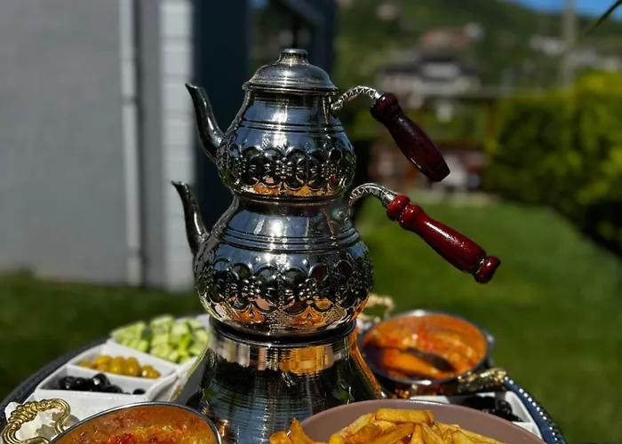Sky Villa Hisar