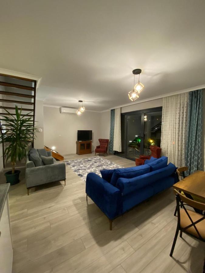 Sky Hisar Villa