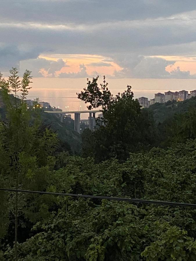Sky Hisar Villa