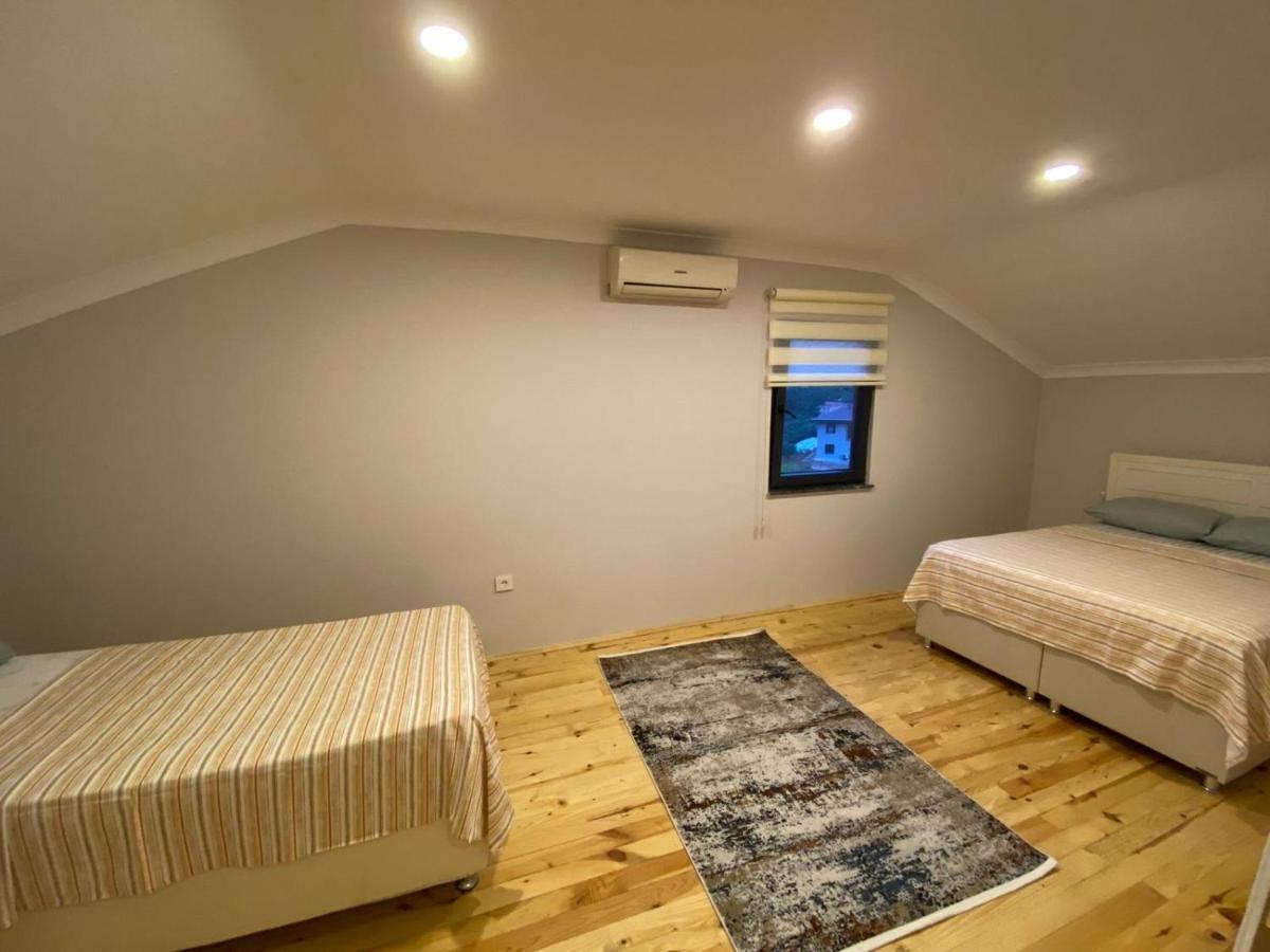 Villa Sky Hisar