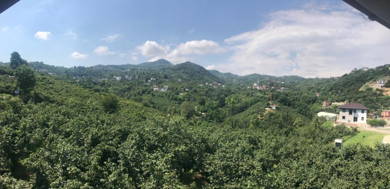 Sky Hisar *