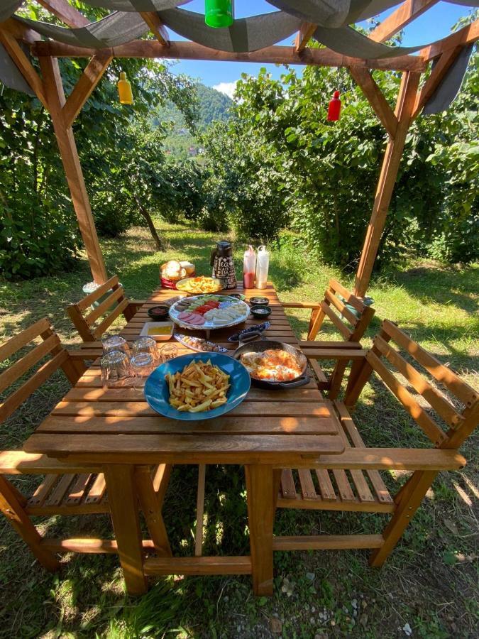 Villa Sky Hisar Trabzon